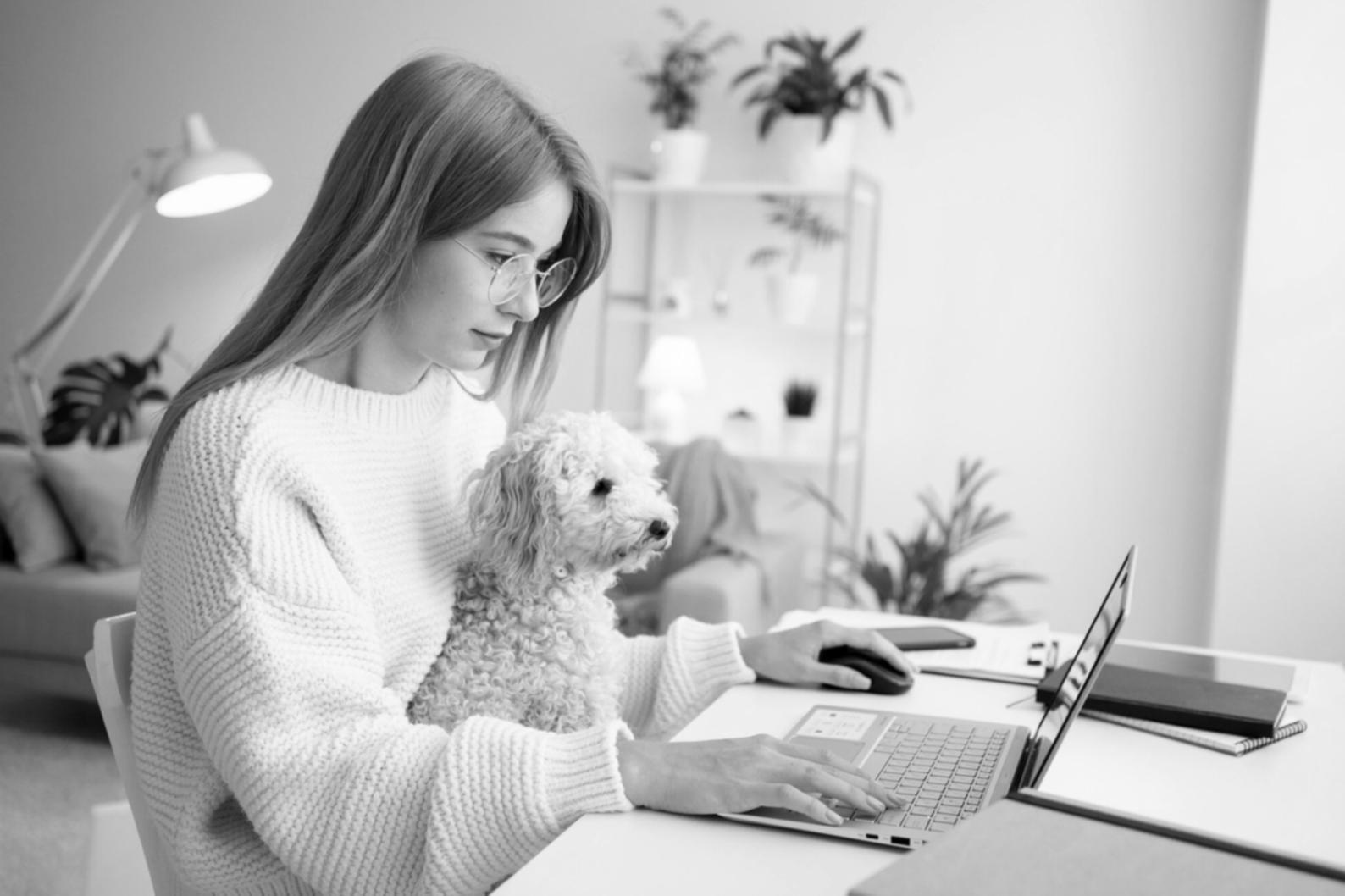 Manufacturing dashboard displaying production efficiency metrics and real-time financial data across multiple facilities